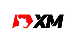 XM Global-template